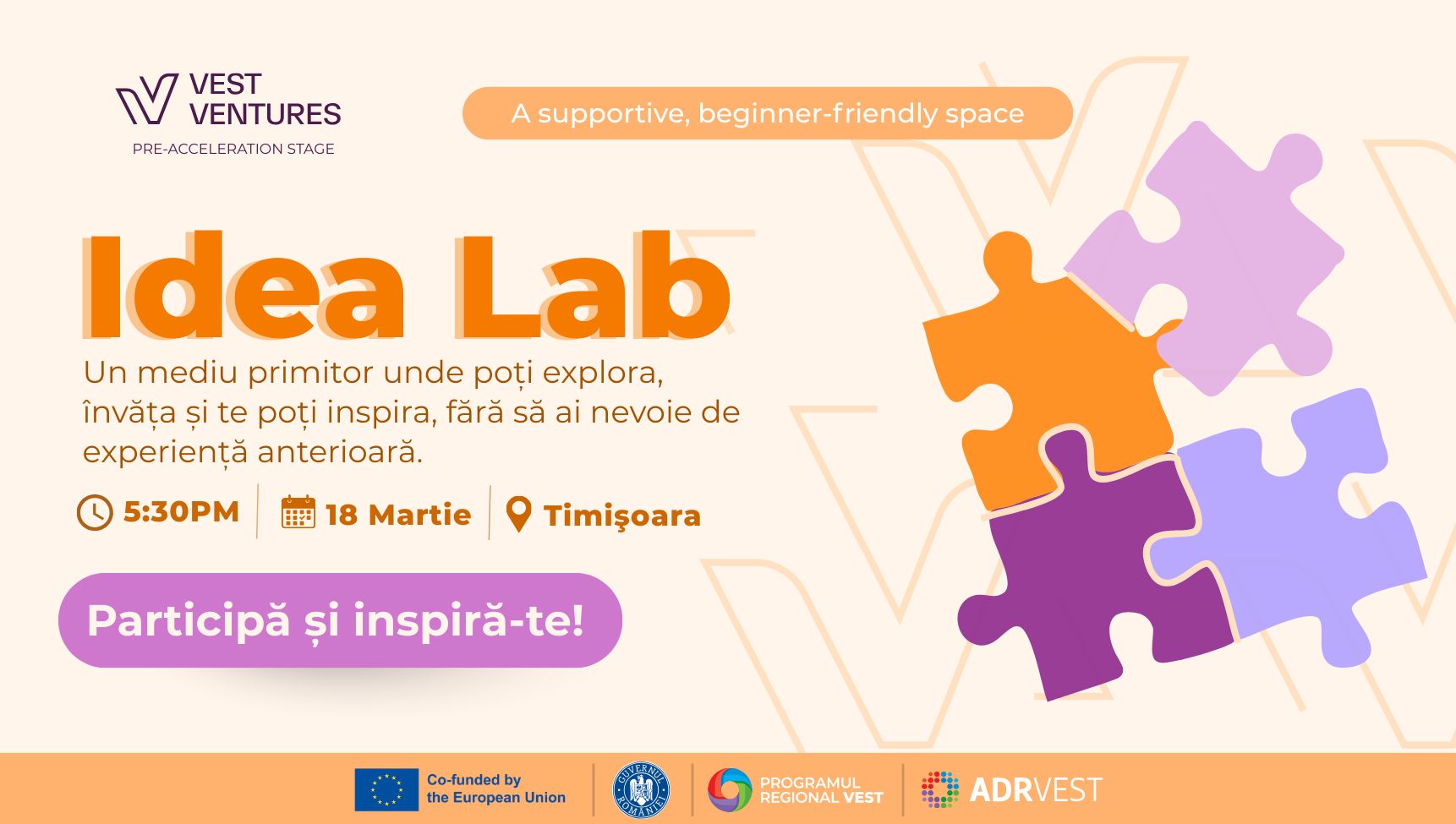 Idea Lab Pre-Acceleration Timişoara
